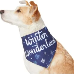 Frisco Winter Wonderland Dog & Cat Bandana -Frisco 276279 PT3. AC SS1800 V1637688134
