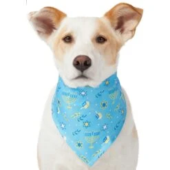 Frisco Festive Hanukkah Dog & Cat Bandana 13 Frisco Festive Hanukkah Dog & Cat Bandana -Frisco 276282 PT3. AC SS1800 V1637673704