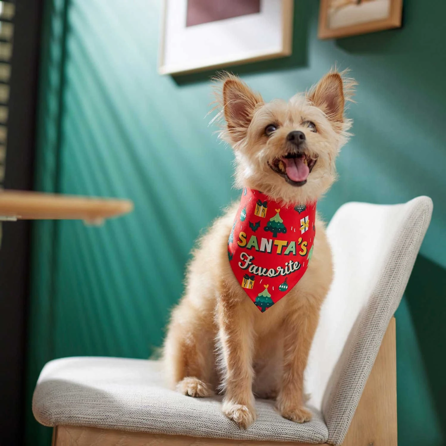 Frisco Santa's Favorite & Cheers To The New Year Dog & Cat Reversible Bandana 9 Frisco Santa's Favorite & Cheers To The New Year Dog & Cat Reversible Bandana - Image 7