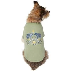 Frisco Joyful Hygge-Inspired Dog & Cat T-shirt -Frisco 276488 PT3. AC SS1800 V1637725670
