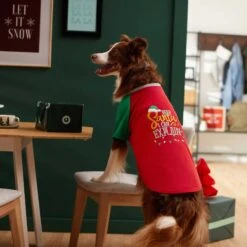 Frisco Santa I Can Explain Dog & Cat T-shirt -Frisco 276496 PT5. AC SS1800 V1637677020