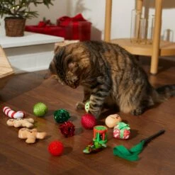 Frisco Holiday Festive Red Variety Pack Gift Box Cat Toy With Catnip, 14 Count -Frisco 287305 PT3. AC SS1800 V1632773836