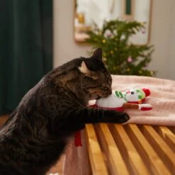 Frisco Naughty Or Nice Snowman Reversible Plush Cat Toy With Catnip -Frisco 287387 PT3. AC SS1800 V1632774541