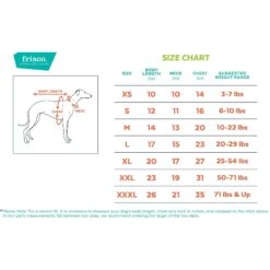 Frisco Personalized Dog & Cat Basic Hoodie -Frisco 288051 PT1. AC SS1800 V1626200476