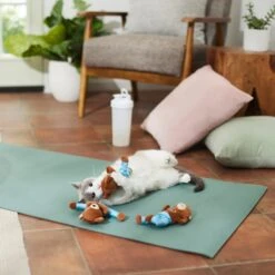 Frisco New Year, New Me Namaste Bear Plush Cat Toy With Catnip 7 Frisco New Year, New Me Namaste Bear Plush Cat Toy With Catnip -Frisco 288947 PT3. AC SS1800 V1638289414