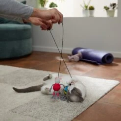 Frisco New Year, New Me Gym Bouncy Mice Plush Cat Toy With Catnip -Frisco 288949 PT3. AC SS1800 V1638289802