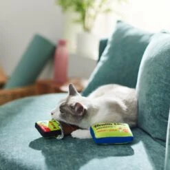 Frisco Protein Bar & Gym Membership Plush Cat Toy With Catnip -Frisco 288951 PT3. AC SS1800 V1638290814