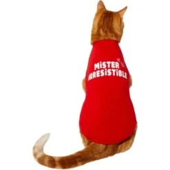 Frisco Mister Irresistible Dog & Cat T-Shirt -Frisco 292026 PT2. AC SS1800 V1637268745