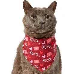 Frisco Love Letters Dog & Cat Bandana -Frisco 292051 PT2. AC SS1800 V1637269050