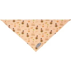 Frisco Quirky Thanksgiving Personalized Dog & Cat Bandana -Frisco 296986 PT3. AC SS1800 V1627654956