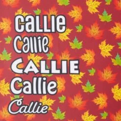 Frisco Fall Leaves Personalized Dog & Cat Bandana -Frisco 296994 PT4. AC SS1800 V1627654575
