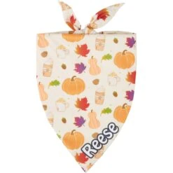 Frisco Pumpkin Spice Personalized Dog & Cat Bandana