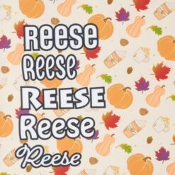 Frisco Pumpkin Spice Personalized Dog & Cat Bandana 15 Frisco Pumpkin Spice Personalized Dog & Cat Bandana -Frisco 296998 PT4. AC SS1800 V1627655195