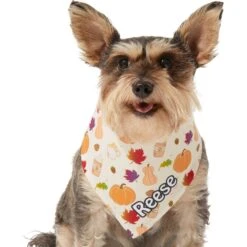 Frisco Pumpkin Spice Personalized Dog & Cat Bandana 17 Frisco Pumpkin Spice Personalized Dog & Cat Bandana -Frisco 296998 PT6. AC SS1800 V1627654408