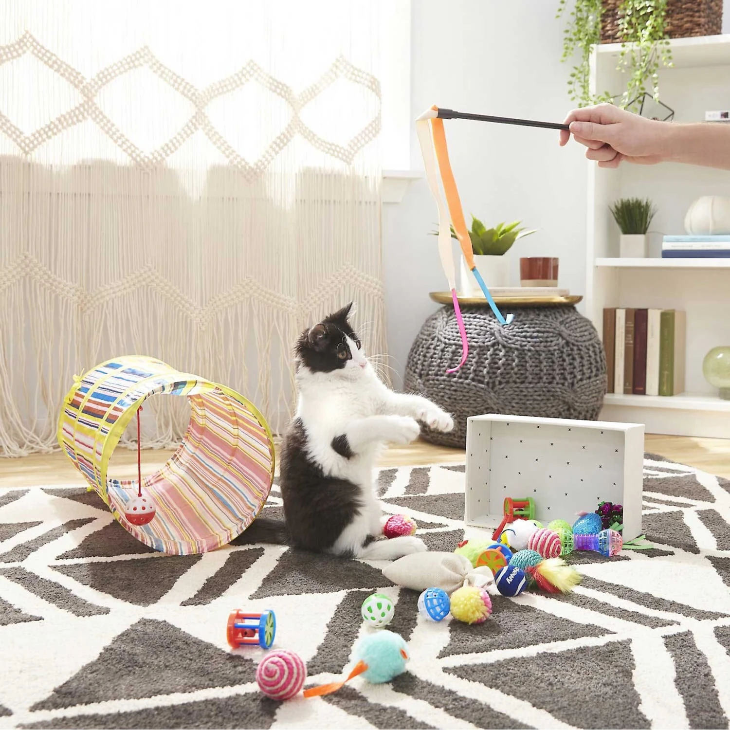 Sheba Meaty Tender Sticks Salmon Flavored Soft Adult Cat Treats & Frisco Plush, Teaser, Ball & Tunnel Variety Pack Cat Toy With Catnip 7 Sheba Meaty Tender Sticks Salmon Flavored Soft Adult Cat Treats & Frisco Plush, Teaser, Ball & Tunnel Variety Pack Cat Toy With Catnip - Image 5