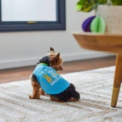 Frisco I'm A Little Eggs-tra Dog & Cat T-Shirt -Frisco 300646 PT5. AC SS1800 V1641542509