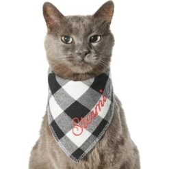 Frisco Buffalo Check Embroidered Personalized Dog & Cat Bandana 16 Frisco Buffalo Check Embroidered Personalized Dog & Cat Bandana -Frisco 301162 PT7. AC SS1800 V1628535983