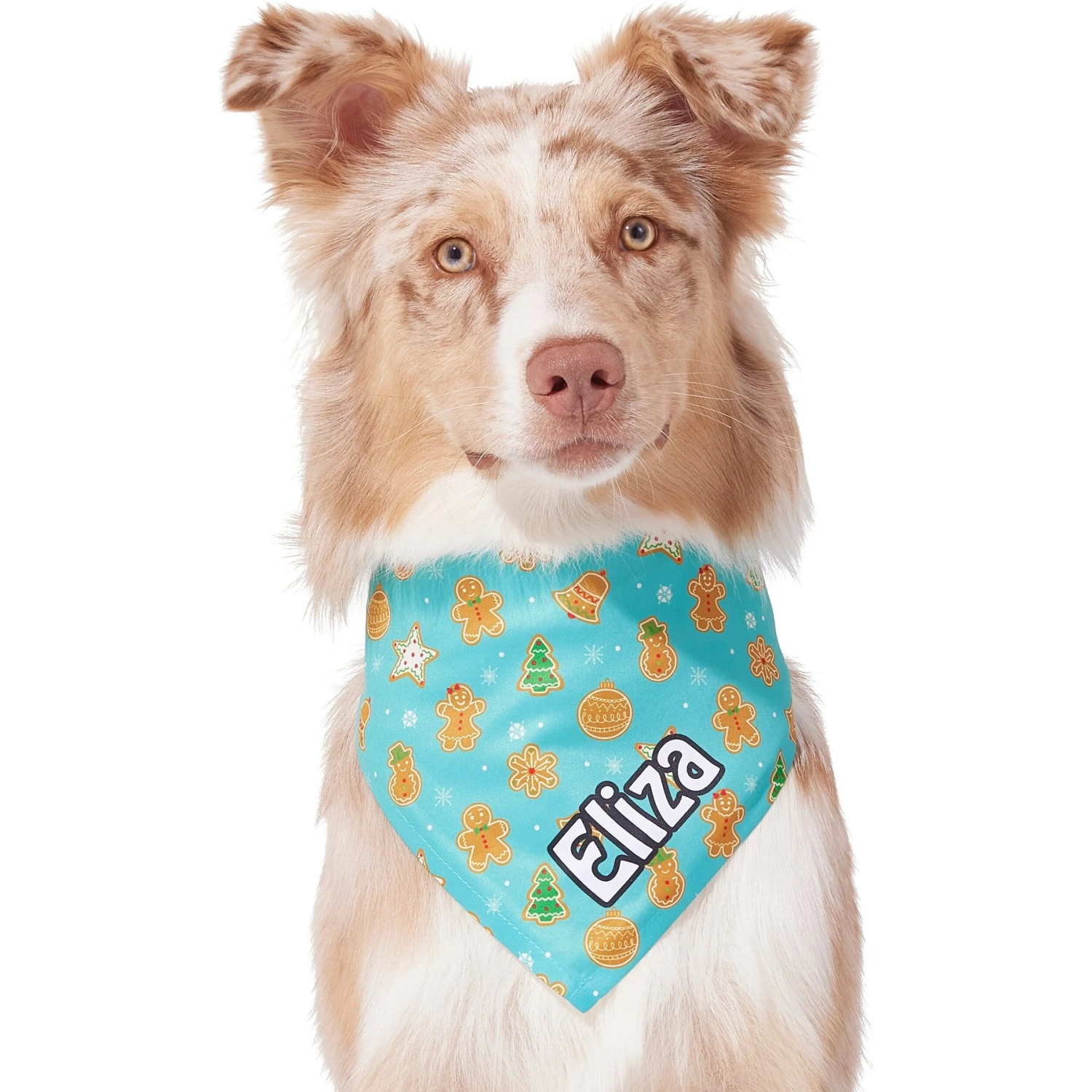 Frisco Gingerbread Cookie Personalized Dog & Cat Bandana 9 Frisco Gingerbread Cookie Personalized Dog & Cat Bandana - Image 7