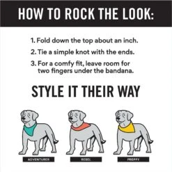 Frisco Snowman & Presents Personalized Dog & Cat Bandana 12 Frisco Snowman & Presents Personalized Dog & Cat Bandana -Frisco 301373 PT2. AC SS1800 V1623274665