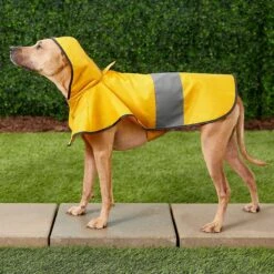 Frisco Lightweight Rainy Days Dog Raincoat & Frisco Lightweight Rubber Ducky Dog Raincoat 15 Frisco Lightweight Rainy Days Dog Raincoat & Frisco Lightweight Rubber Ducky Dog Raincoat -Frisco 302842 PT4. AC SS1800 V1623052647