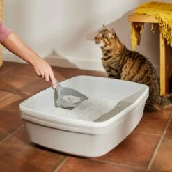 Frisco Attractant Multi-Cat Clumping Clay Cat Litter -Frisco 305403 PT4. AC SS1800 V1659023512
