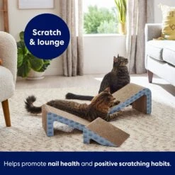 Frisco Nesting Cat Scratcher Toy With Catnip -Frisco 308876 PT5. AC SS1800 V1691785301