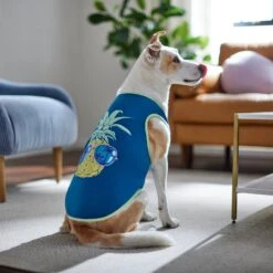 Frisco Pineapple Guy Dog & Cat T-Shirt 13 Frisco Pineapple Guy Dog & Cat T-Shirt -Frisco 312040 PT8. AC SS1800 V1644466024