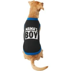 Frisco Mama's Boy Dog & Cat T-Shirt 12 Frisco Mama's Boy Dog & Cat T-Shirt -Frisco 312088 PT3. AC SS1800 V1673304117