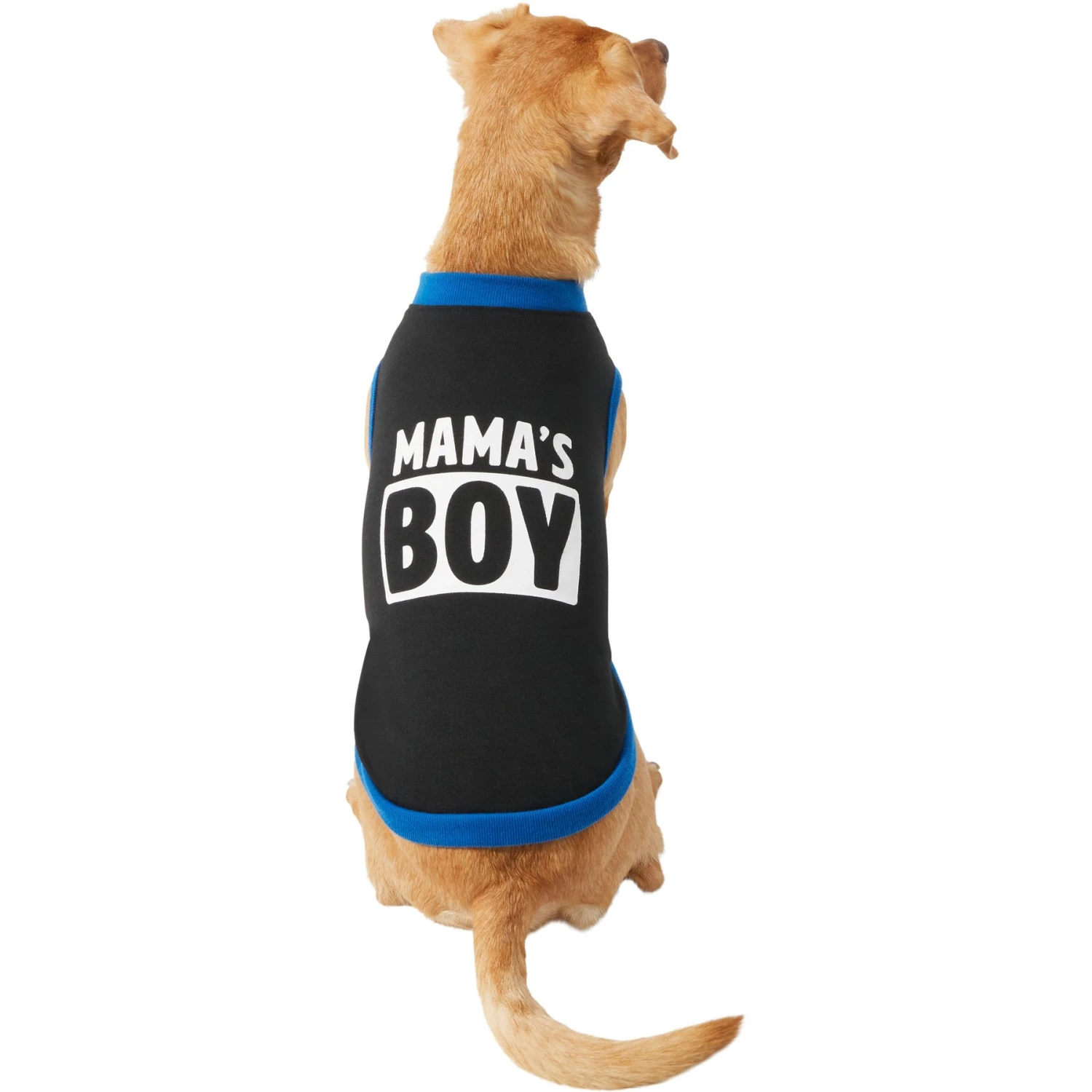 Frisco Mama's Boy Dog & Cat T-Shirt 6 Frisco Mama's Boy Dog & Cat T-Shirt - Image 4