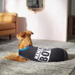 Frisco Mama's Boy Dog & Cat T-Shirt 14 Frisco Mama's Boy Dog & Cat T-Shirt -Frisco 312088 PT5. AC SS1800 V1673361675