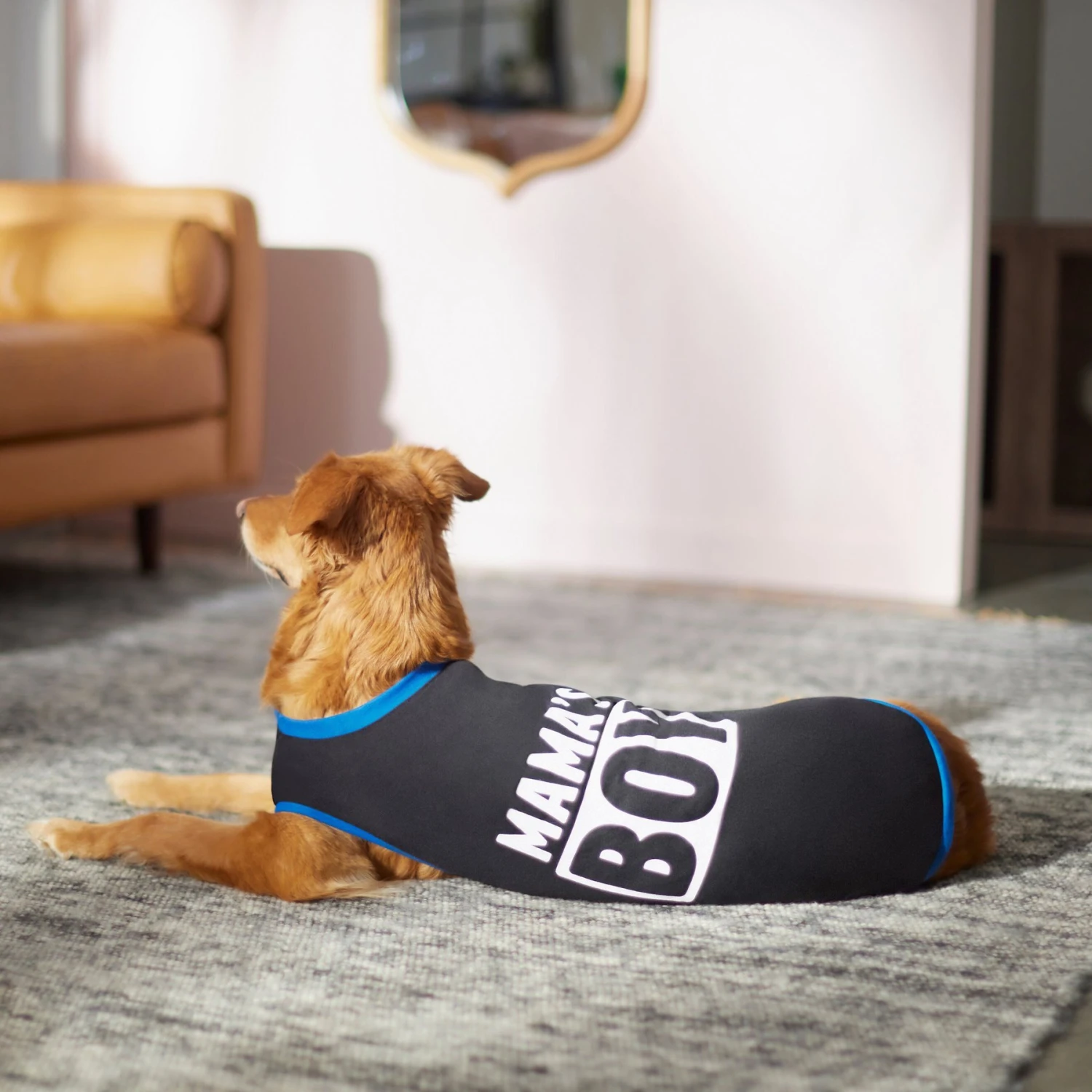 Frisco Mama's Boy Dog & Cat T-Shirt 8 Frisco Mama's Boy Dog & Cat T-Shirt - Image 6