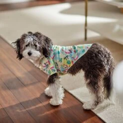 Frisco Flamingo Camp Dog & Cat Shirt -Frisco 312176 PT7. AC SS1800 V1673361358