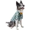 Frisco Boho Plaid Dog & Cat Shirt -Frisco 312184 MAIN. AC SS1800 V1644524485