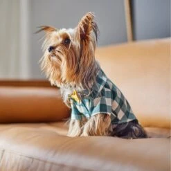 Frisco Boho Plaid Dog & Cat Shirt 17 Frisco Boho Plaid Dog & Cat Shirt -Frisco 312184 PT8. AC SS1800 V1644524330