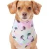 Frisco Palm Tree Dog & Cat Bandana -Frisco 312291 MAIN. AC SS1800 V1644885149