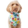 Frisco Hawaiian Pineapple Dog & Cat Bandana 1 Frisco Hawaiian Pineapple Dog & Cat Bandana -Frisco 312300 MAIN. AC SS1800 V1644885441