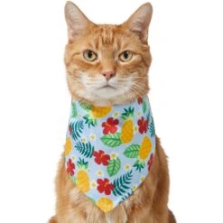 Frisco Hawaiian Pineapple Dog & Cat Bandana -Frisco 312300 PT2. AC SS1800 V1644878643