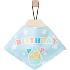 Frisco Birthday Pup Dog & Cat Bandana -Frisco 315130 PT4. AC SS1800 V1646441905