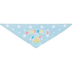 Frisco Birthday Pup Dog & Cat Bandana -Frisco 315130 PT5. AC SS1800 V1646434611
