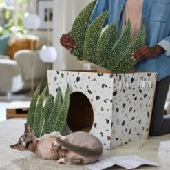 Frisco Potted Succulent Cardboard Cat House -Frisco 317723 PT3. AC SS1800 V1688677248