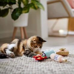 Frisco Mother's Day Gifts Plush Cat Toy With Catnip, 3 Count 7 Frisco Mother's Day Gifts Plush Cat Toy With Catnip, 3 Count -Frisco 327027 PT3. AC SS1800 V1646948055