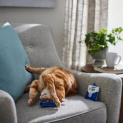 Frisco Father's Day Card Felt Cat Toy With Catnip, 2 Count 9 Frisco Father's Day Card Felt Cat Toy With Catnip, 2 Count -Frisco 327029 PT3. AC SS1800 V1648667305