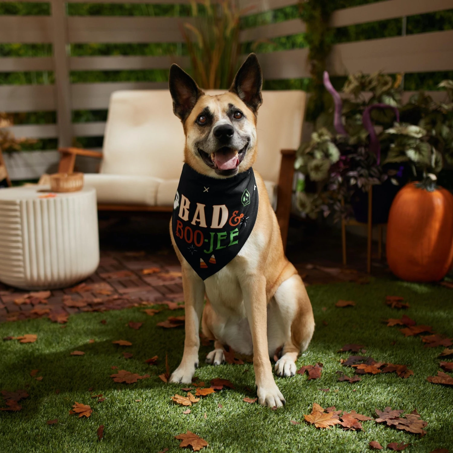 Frisco Bad & Boo-Jee Dog & Cat Costume Bandana 9 Frisco Bad & Boo-Jee Dog & Cat Costume Bandana - Image 7