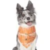 Frisco Orange Spiderweb Dog & Cat Costume Bandana -Frisco 335046 MAIN. AC SS1800 V1658719175