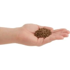 ACANA First Feast High-Protein Kitten Dry Cat Food, 4-lb Bag & Frisco Multi-Cat Unscented Clumping Clay Cat Litter -Frisco 338643 PT3. AC SS1800 V1635909934