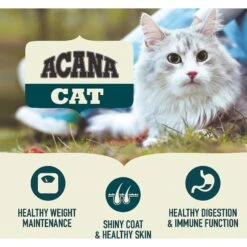 ACANA First Feast High-Protein Kitten Dry Cat Food, 4-lb Bag & Frisco Multi-Cat Unscented Clumping Clay Cat Litter -Frisco 338643 PT4. AC SS1800 V1635899904