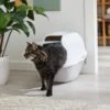Frisco Modern Hooded Cat Litter Box 1 Frisco Modern Hooded Cat Litter Box -Frisco 341985 MAIN. AC SS1800 V1642605052