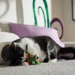 Frisco Haunted Burger Plush Cat Toy With Catnip -Frisco 344056 PT3. AC SS1800 V1657657030