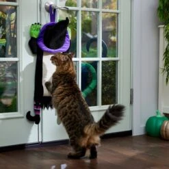 Frisco Halloween Witch Doorknob Hanger Cat Toy With Catnip -Frisco 344092 PT3. AC SS1800 V1657657035