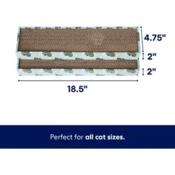 Frisco Single-Wide Cat Scratcher Toy With Catnip, Tropical Paradise, 2 Count -Frisco 347217 PT1. AC SS1800 V1698868180